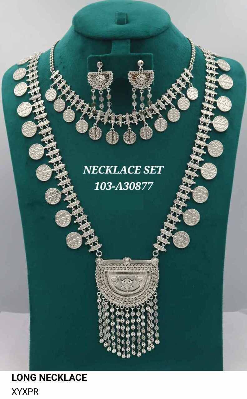 Elegant Long Silver Necklace Set