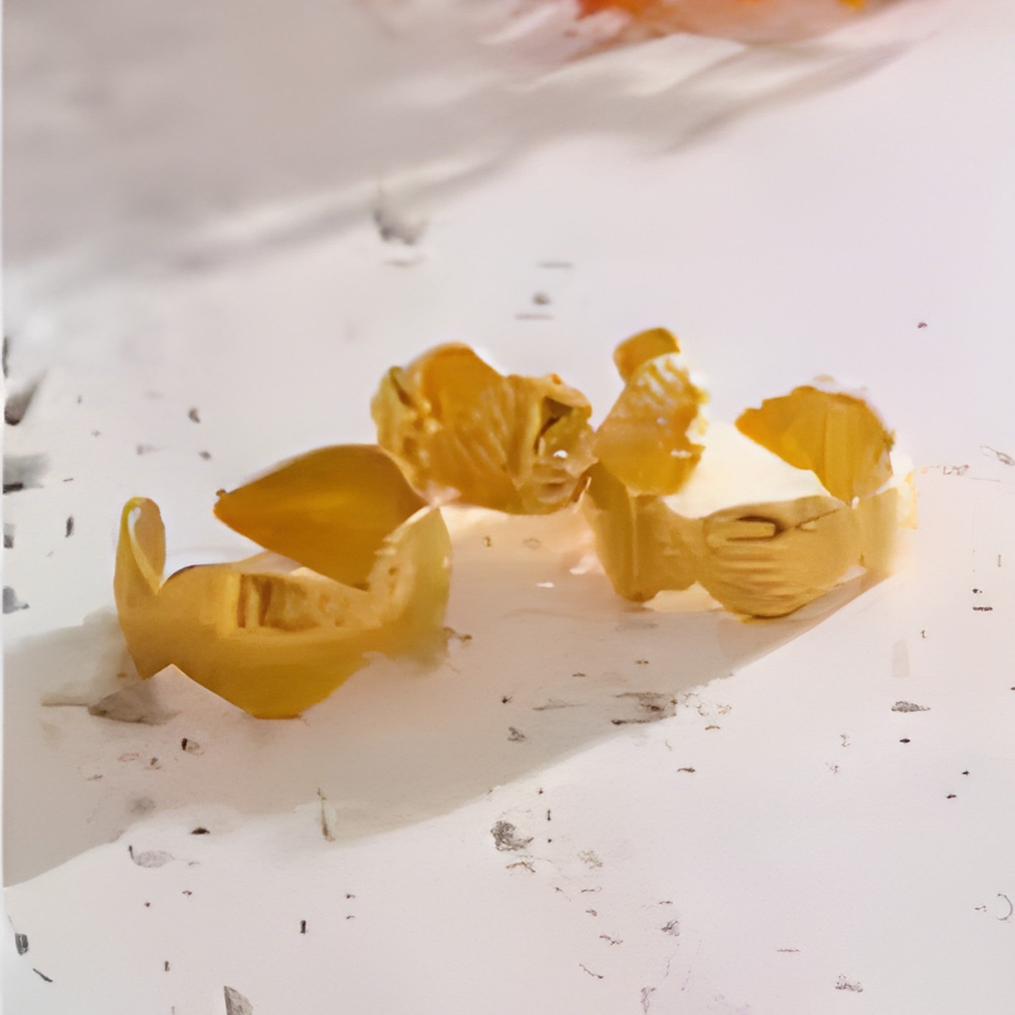 Ocean Style Conch Shell Ring