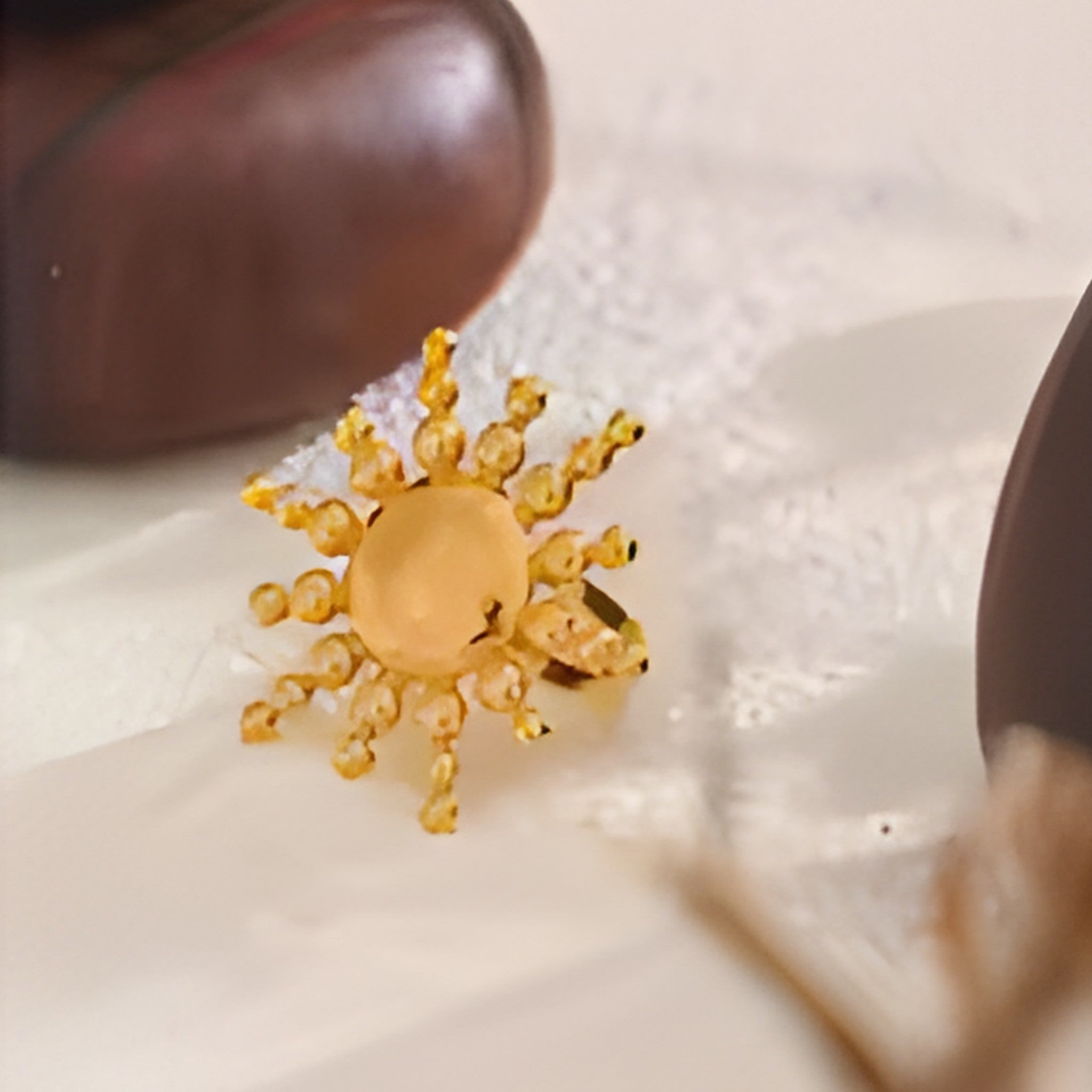 Big Adjustable Gold Ring