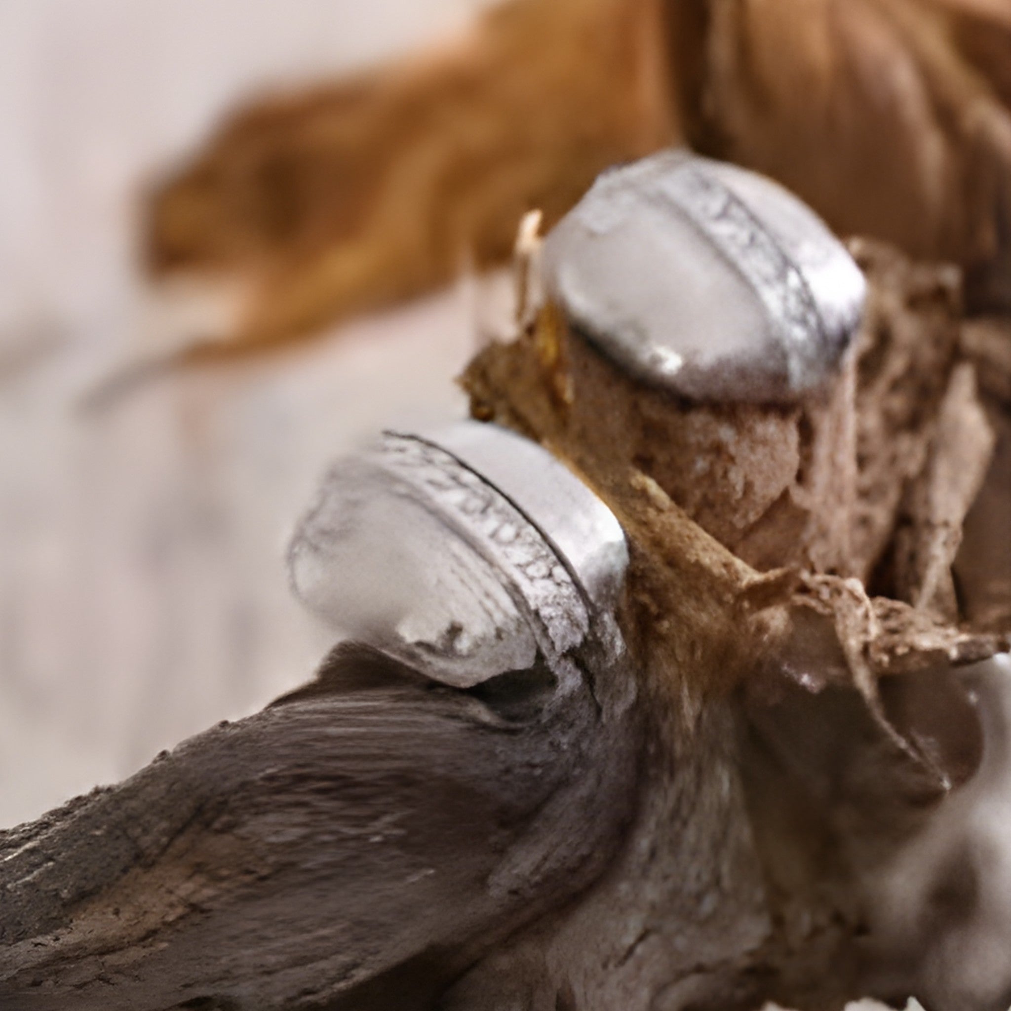 Zirconia Square Stud Earrings